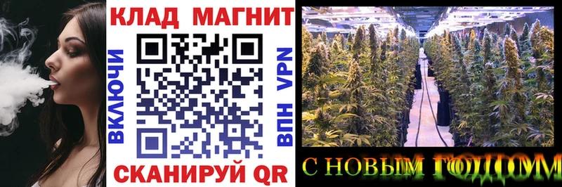 Где купить наркоту Шуя ГАШИШ СОЛЬ Кокаин Меф мяу мяу Бошки Шишки
