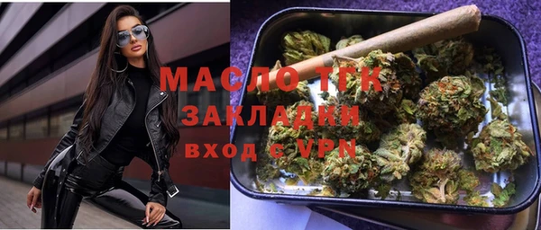 хмурый Дмитриев