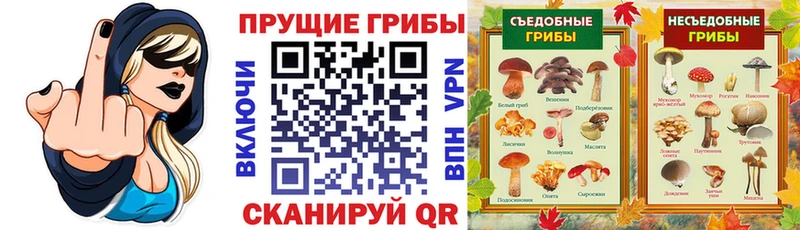 Псилоцибиновые грибы Cubensis  Шуя 